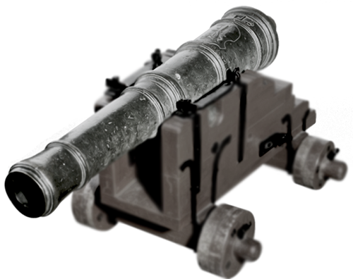 Image module